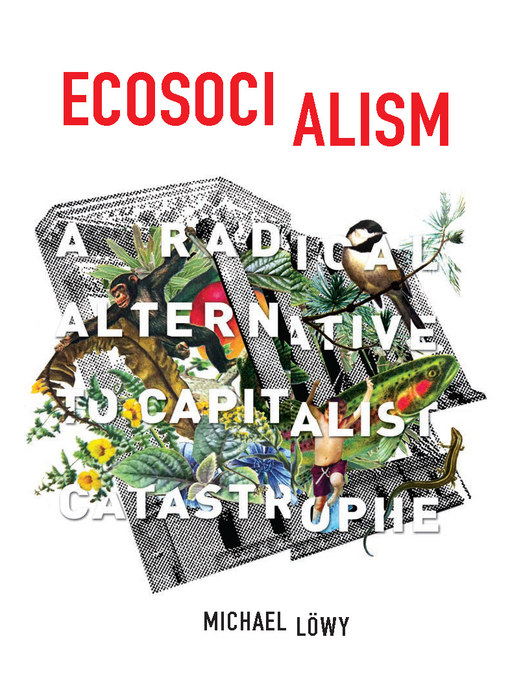 Title details for Ecosocialism by Michael Löwy - Available